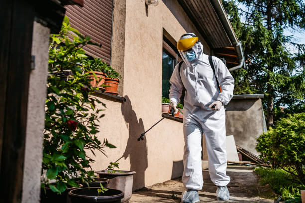 Reliable La Grande, OR Pest Control Solutions