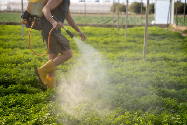 Best Exterminator Services  in La Grande, OR
